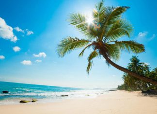 Tour du lịch hè chùm tour khuyến mãi hấp dẫn nhất 2021 tour he 2021