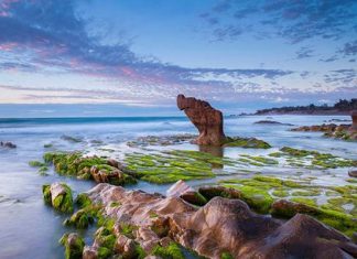 Tuy Phong Bình Thuận có điều gì hấp dẫn du khách?